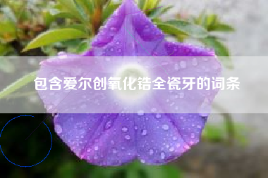 包含爱尔创氧化锆全瓷牙的词条