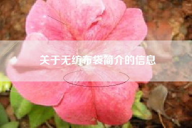 关于无纺布袋简介的信息