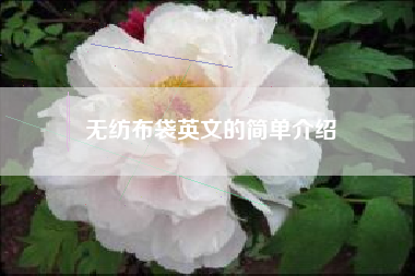 无纺布袋英文的简单介绍