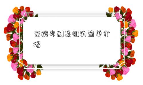 无纺布制袋机的简单介绍