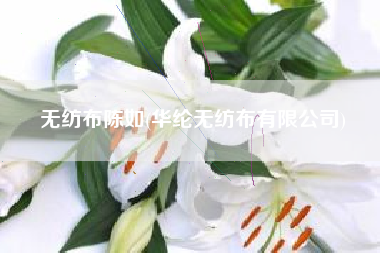 <a href='/' target='_blank' title='无纺布' ><strong>无纺布</strong></a>陈如(华纶无纺布有限公司)