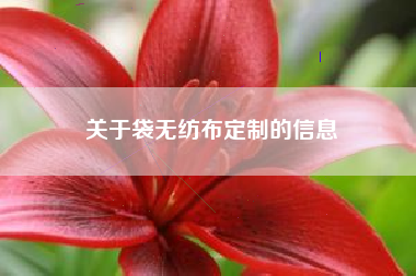 关于袋无纺布定制的信息