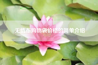 无纺布购物袋价格的简单介绍