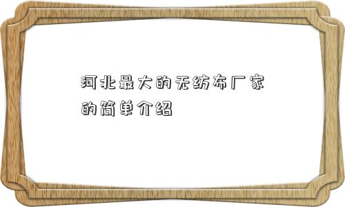 河北更大的无纺布厂家的简单介绍