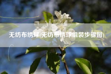 <a href='/' target='_blank' title='无纺布' ><strong>无纺布</strong></a>绣球(无纺布绣球组装步骤图)