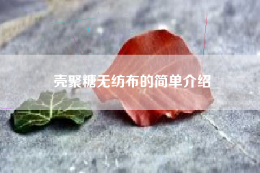 壳聚糖无纺布的简单介绍