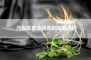 汽车座套无纺布的简单介绍