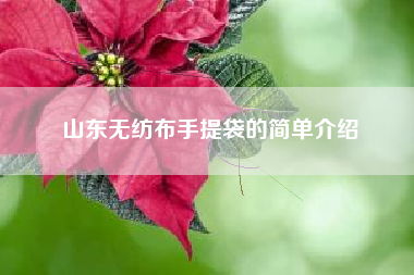 山东无纺布手提袋的简单介绍