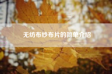 无纺布纱布片的简单介绍 无纺布纱布片的简单介绍
