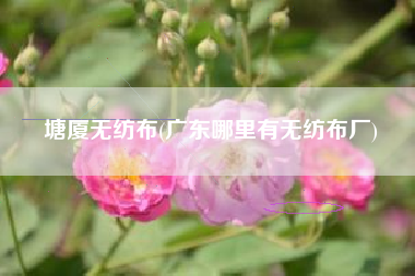 塘厦<a href='/' target='_blank' title='无纺布' ><strong>无纺布</strong></a>(广东哪里有无纺布厂)