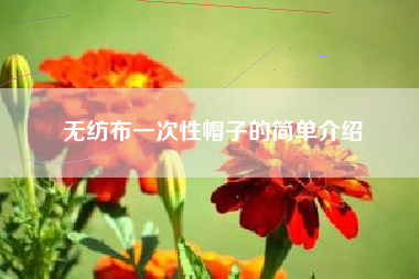无纺布一次性帽子的简单介绍