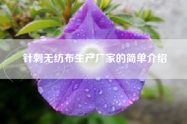 针刺无纺布生产厂家的简单介绍