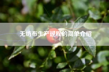 无纺布生产过程的简单介绍