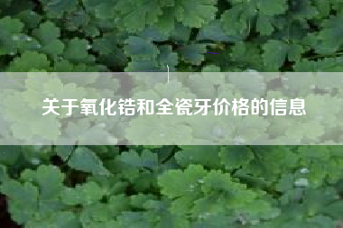 关于氧化锆和全瓷牙价格的信息