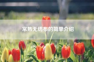 常熟无纺布的简单介绍