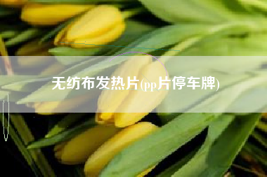 无纺布发热片(pp片停车牌)