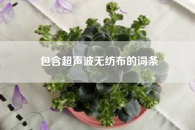 包含超声波无纺布的词条