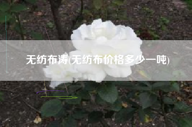 <a href='/' target='_blank' title='无纺布' ><strong>无纺布</strong></a>涛(无纺布价格多少一吨)