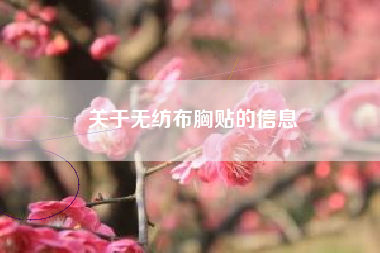 关于无纺布胸贴的信息