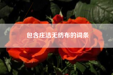 包含庄洁无纺布的词条