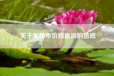 关于无纺布价格查询的信息