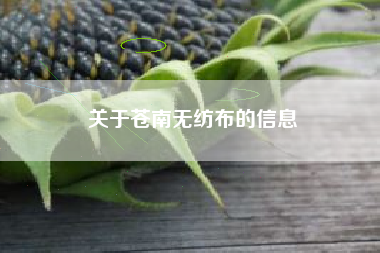 关于苍南无纺布的信息