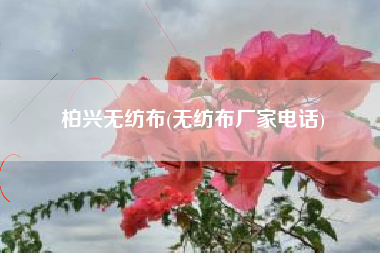 柏兴<a href='/' target='_blank' title='无纺布' ><strong>无纺布</strong></a>(无纺布厂家电话)