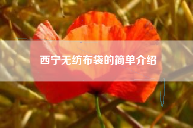 西宁无纺布袋的简单介绍