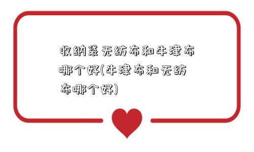 收纳袋无纺布和牛津布哪个好(牛津布和无纺布哪个好)