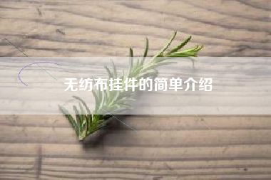 无纺布挂件的简单介绍
