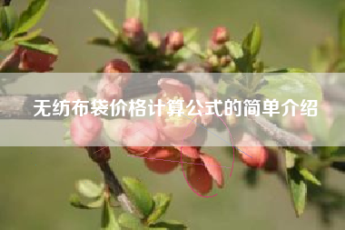 无纺布袋价格计算公式的简单介绍