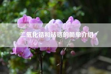 二氧化锆和钴铬的简单介绍