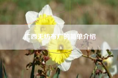 广西无纺布厂的简单介绍