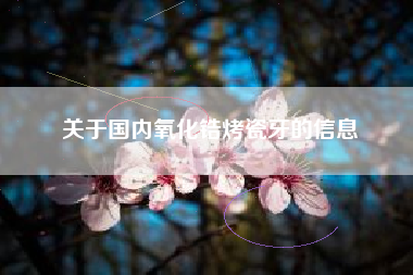 关于国内氧化锆烤瓷牙的信息