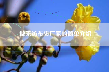 做无纺布袋厂家的简单介绍