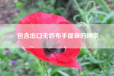 包含出口无纺布手提袋的词条