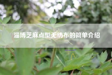 淄博芝麻点型无纺布的简单介绍