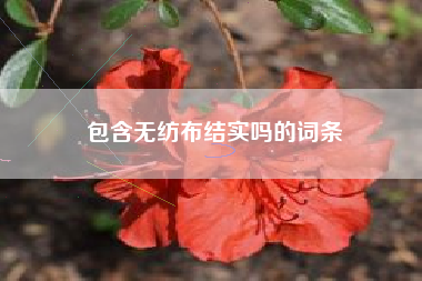 包含无纺布结实吗的词条