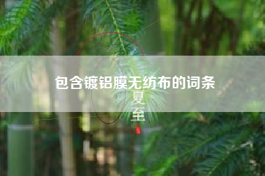 包含镀铝膜无纺布的词条