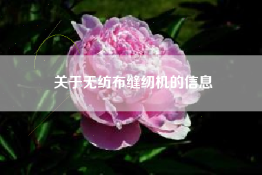 关于无纺布缝纫机的信息