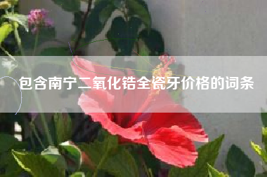 包含南宁二氧化锆全瓷牙价格的词条