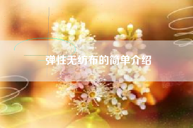 弹性无纺布的简单介绍