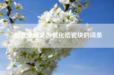 包含全瓷义齿氧化锆瓷块的词条