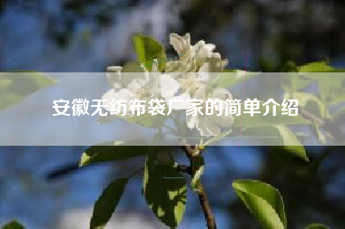安徽无纺布袋厂家的简单介绍