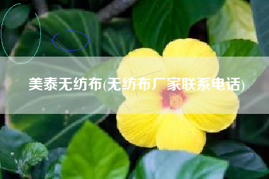 美泰<a href='/' target='_blank' title='无纺布' ><strong>无纺布</strong></a>(无纺布厂家联系电话)