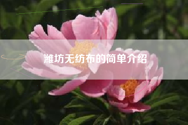 潍坊无纺布的简单介绍