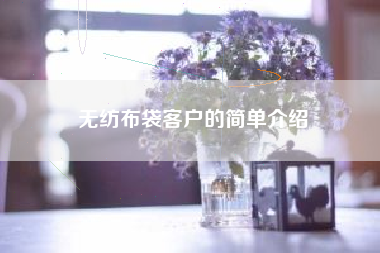 无纺布袋客户的简单介绍