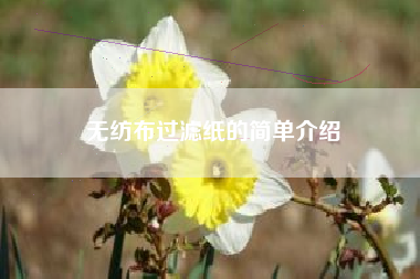无纺布过滤纸的简单介绍