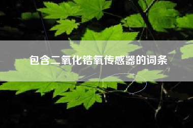包含二氧化锆氧传感器的词条