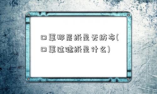 口罩那层纸是无纺布(口罩过滤纸是什么)
